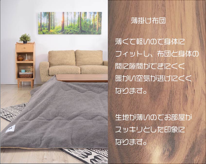 薄くて軽い薄掛け布団