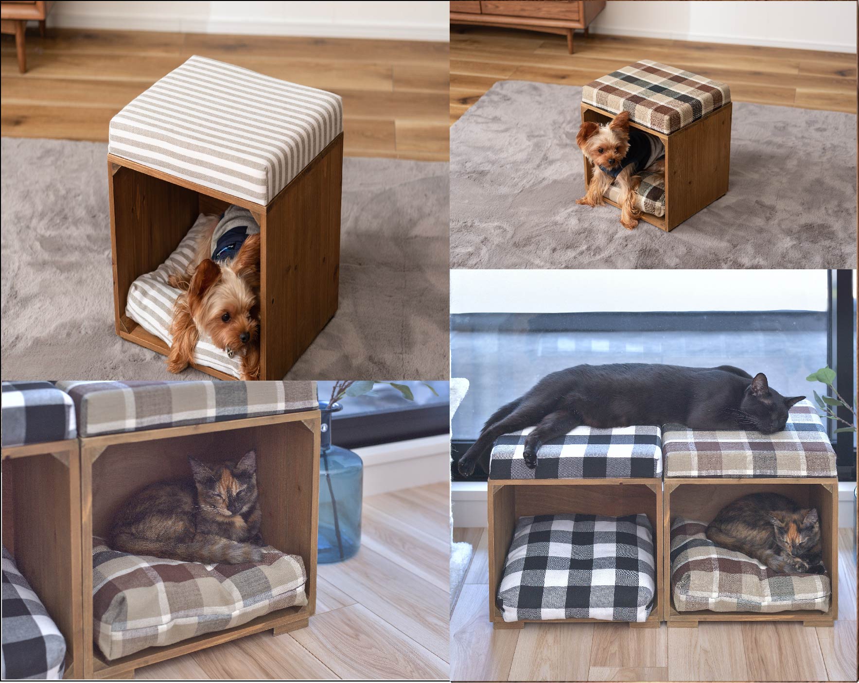 小型犬、猫が入れる大きさです。