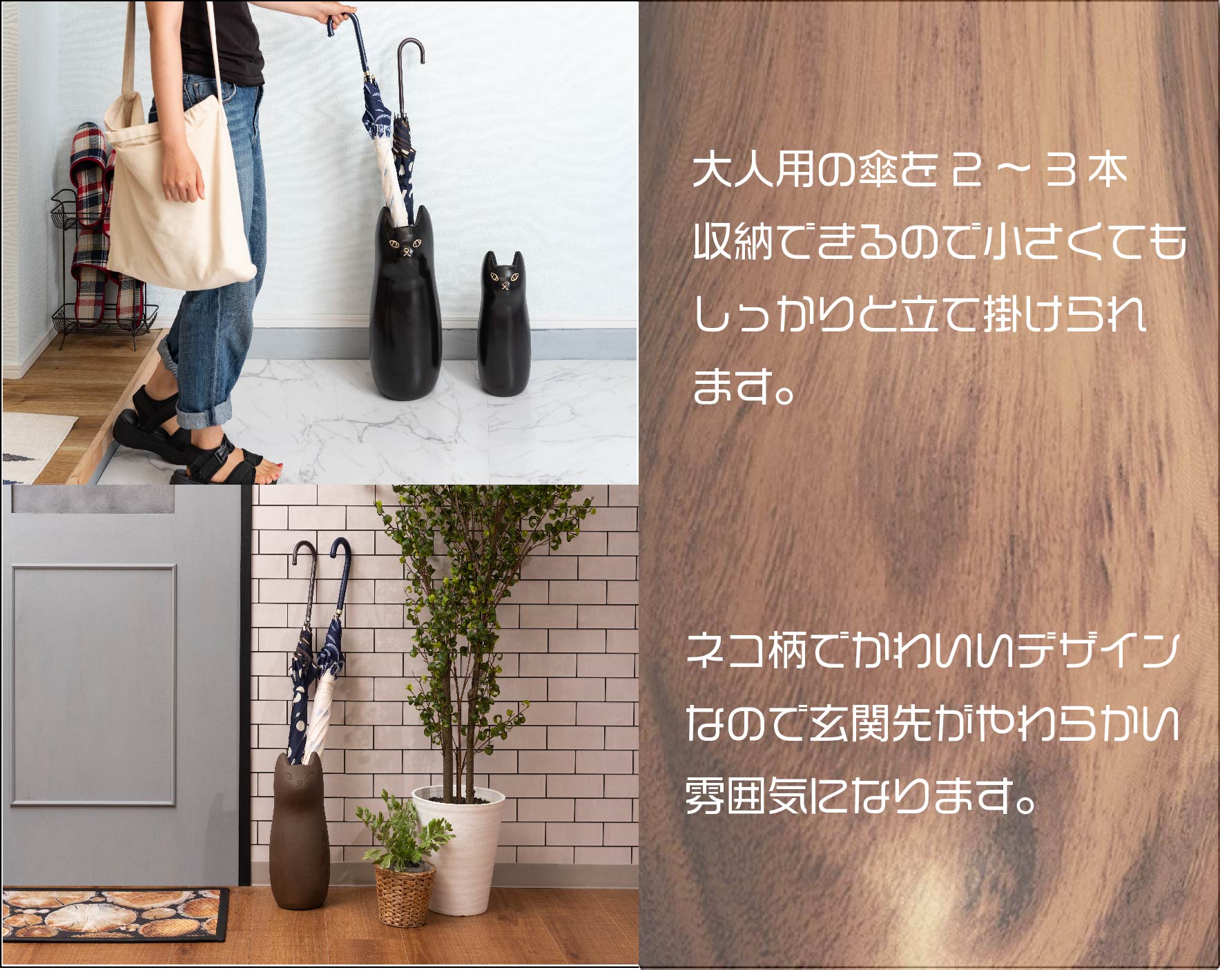 傘2～3本収納可能。